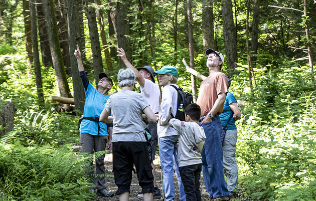 Themed Monthly Hikes